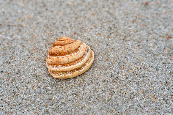 DSR_2609-P