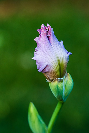 DSR_6995